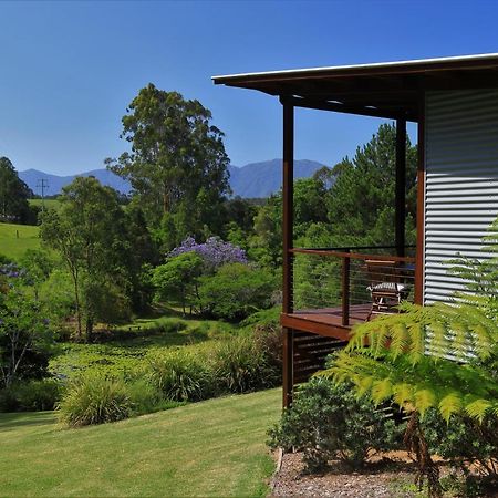 Lilypad Luxury Cabins Bellingen Eksteriør bilde