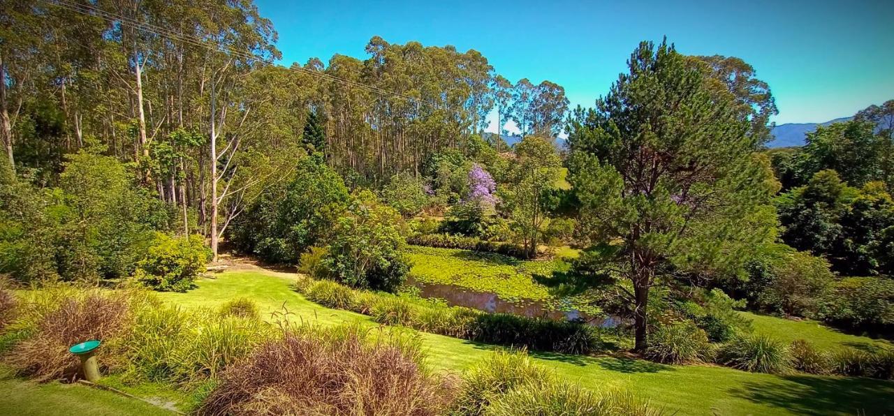 Lilypad Luxury Cabins Bellingen Eksteriør bilde